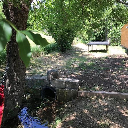 Gite Dans Le Sud Aveyron Saint-Affrique Exteriér fotografie